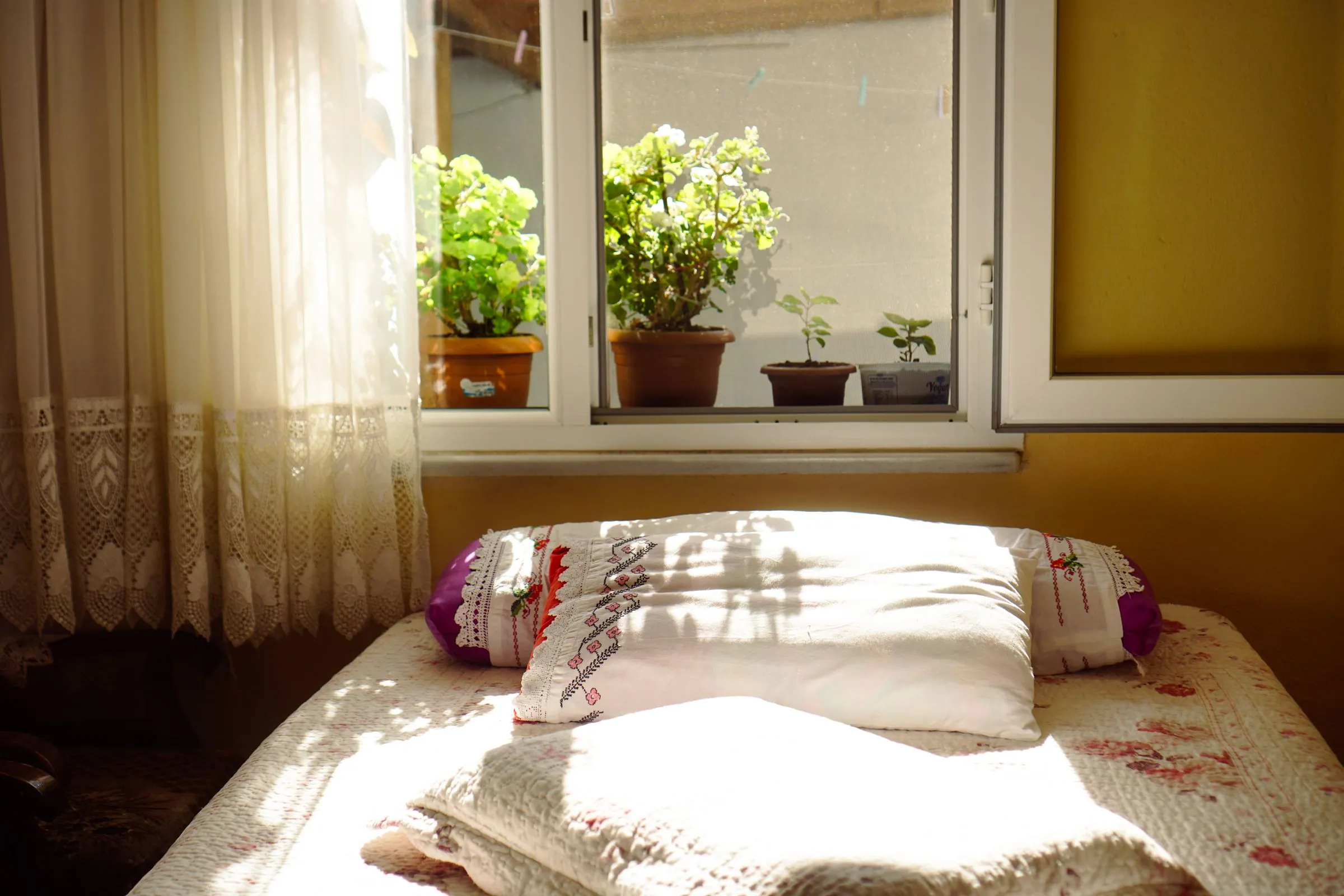 A sunlit bedroom with plants on the windowsill